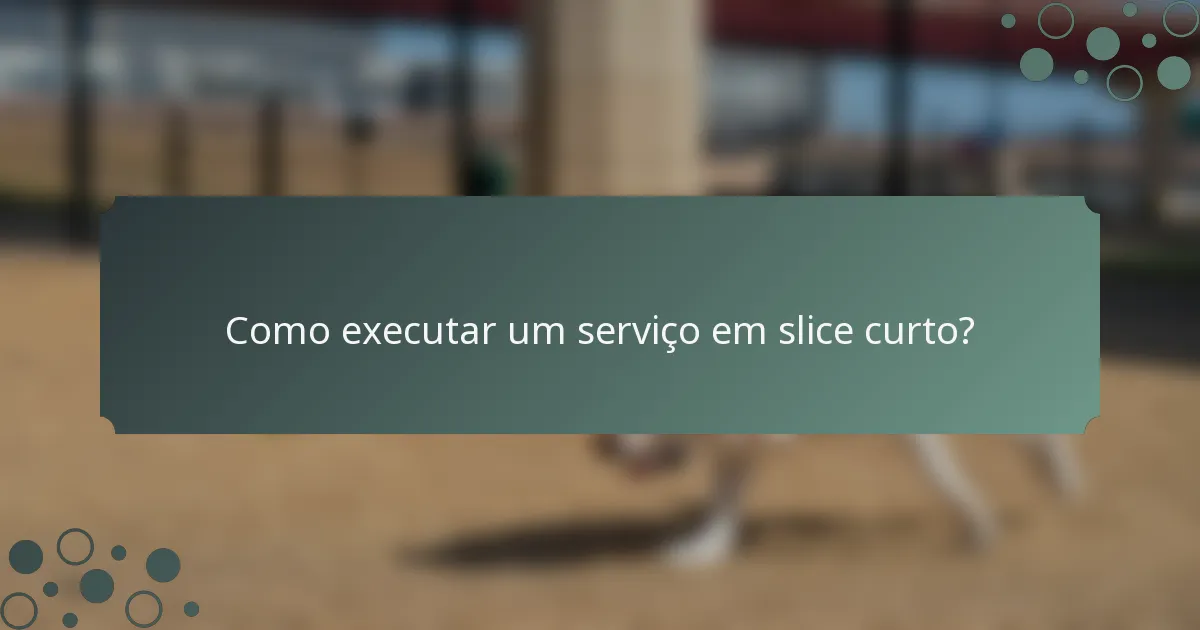 Como executar um serviço em slice curto?