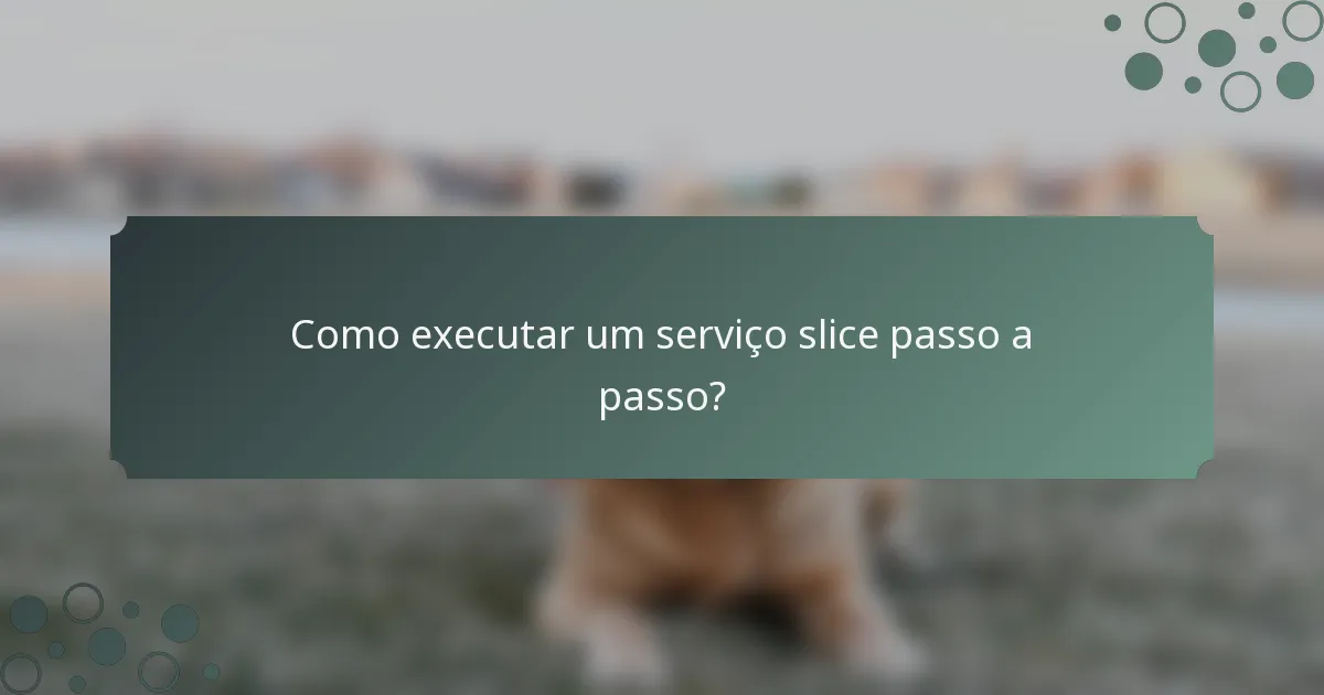 Como executar um serviço slice passo a passo?